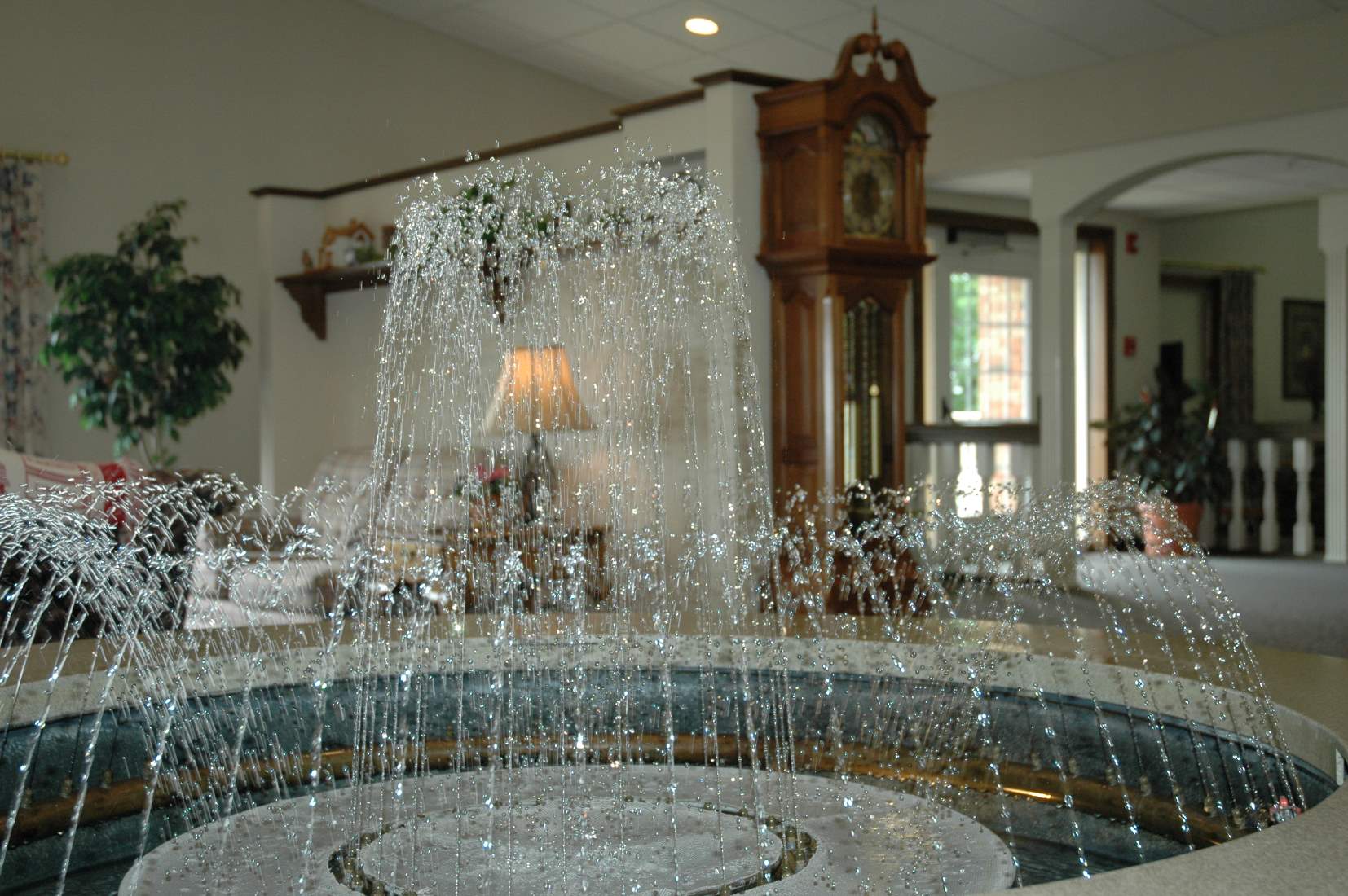 Walnut Hills Assisted Living » Living & Care Options » Walnut Hills