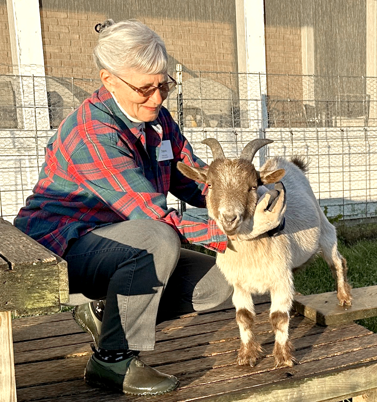 WH Goats