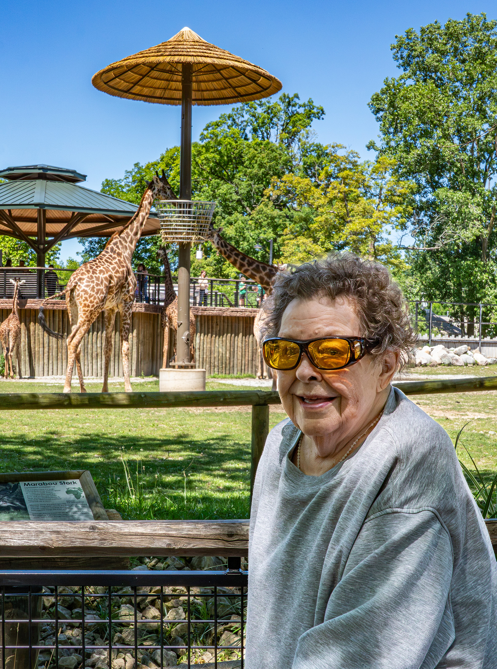 SV Zoo to You